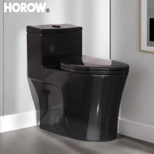 Elongated One Piece Toilet Compact Modern Dual Flush 0.8/1.28 GPF Matte Black - Picture 1 of 10
