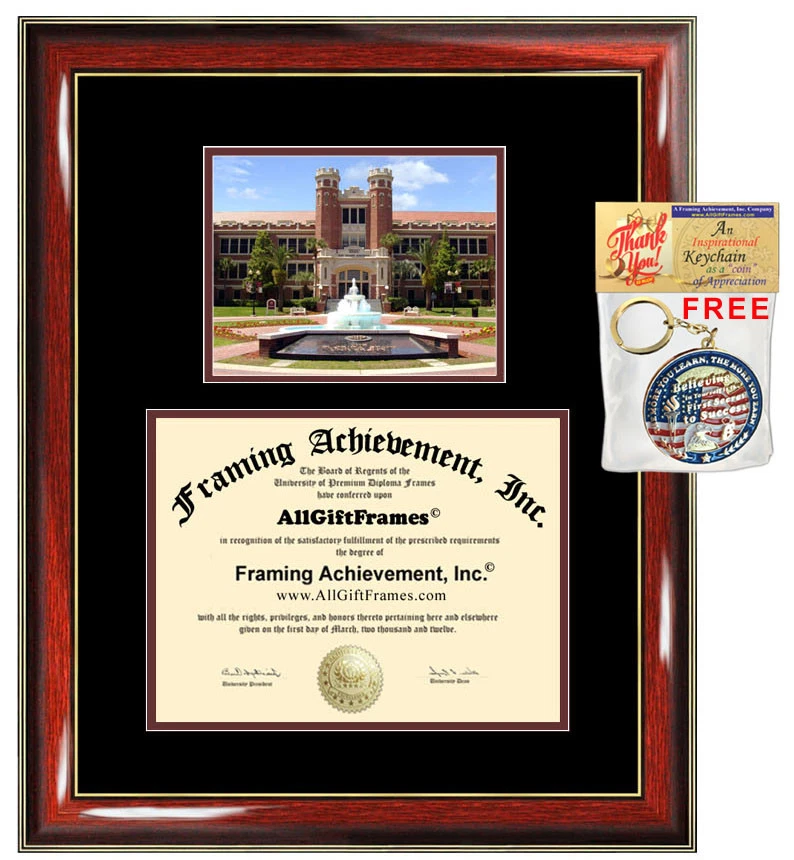Marco de Diploma FSU Florida State University Grado Enmarcado Graduación Universitaria Foto 1 de 1