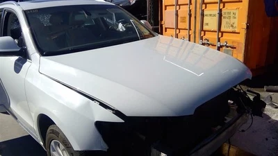 Campana VIN Fp 7º y 8º dígitos compatible con AUDI Q5 650430 13-17 Foto 1 de 4