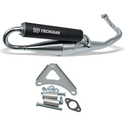 Tecnigas Next-R chrome exhaust for Piaggio - image 1 of 4