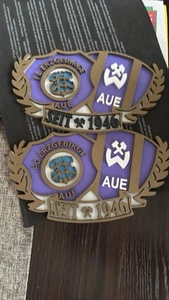 FC Erzgebirge Aue Logo, 3D-Druck - Bild 1 von 3
