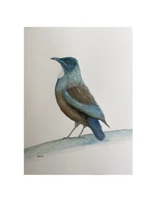 Painting Original By Kenna HP Watercolour Tui Bird 9”X 12” Unframed Art - Bild 1 von 2