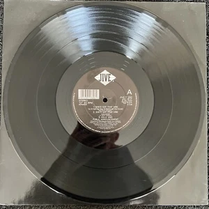 R. Kelly & Public Announcement – She's Got That Vibe 4 Mixes 12'' Vinyl 1992 VG+ - Imagen 1 de 5