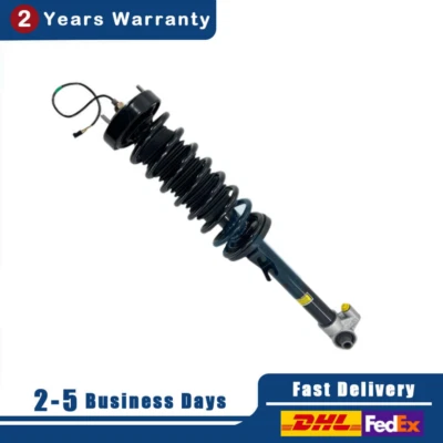 Conjunto de puntal amortiguador trasero derecho BMW E38 740i 740iL 750iL 1995-01 con EDC Foto 1 de 4