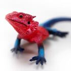 Mwanza Flat-Headed Rock Agama Incredible Creatures Safari Spiderman Lizard Toy