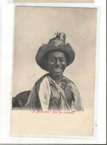 AFRICAN AMERICAN BERMUDA BERMUDIAN - Picture 1 of 1