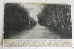 Vintage 1900er Prelinen Postkarte von Benton Harbor, Mich. - Bild 1 von 2