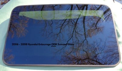 Hyundai Entourage 2006 2007 2008 OEM techo corredizo vidrio arañazos ¡Leer envío gratuito! Foto 1 de 4