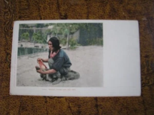 Vintage Alligator UDB Postcard Unused St Augustine White Tiger Indian Pet #7100 - Picture 1 of 2