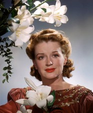 Rosemary Decamp as Nurse Judy on Dr. Christian Old TV Radio Photo