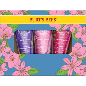 Burt'S Bees Shea Butter Hand Cream Set lavender & Honey Watermelon & Mint - Picture 1 of 12