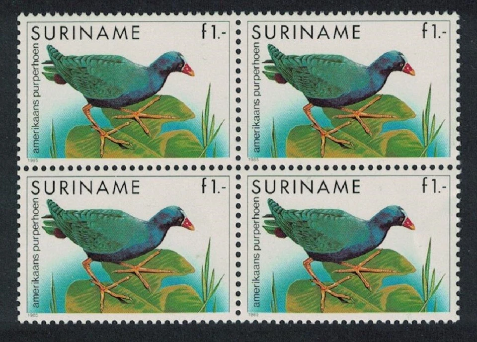 Surinam American Purple Gallinule Bird Bloque de 4 1985 MNH SG#1248 Foto 1 de 1