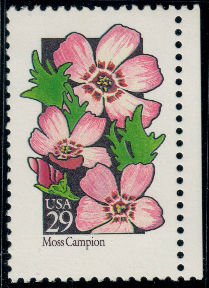 USA - 1992 - Wildflowers - silene acaulis - 29¢ - #4293 - Image 1 of 1