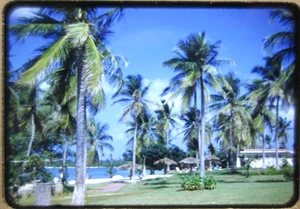 Pellicola diapositiva 35 mm fronte spiaggia isola tropicale Cuba 1950 vintage bordo rosso Kodachrome - Foto 1 di 5