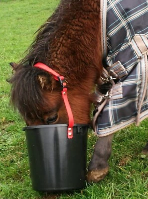 LEBENSMITTELECHT! Shetty Futtereimer Umhängen BioThane  Futtertrog Futtersack - Bild 1 von 2