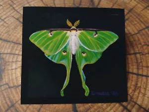 Mini Traditional Art Print Luna Moth Small Acrylic Painting Very Small Fun Gift - Picture 1 of 5