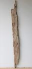 Treibholz Schwemmholz Driftwood 1 Xxl  Brett  Regal Dekoration Basteln 118 Cm