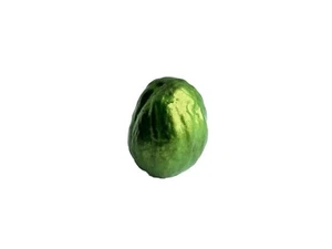 Tailsman Nutmeg Green WEALTH Pocket Charm Money Prosperity Winners - Picture 1 of 6