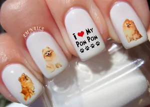 Pomeranian Nail Art Stickers Transfers Decals Set of 58 - A1305 - Picture 1 of 2