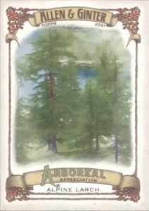 Alpine Larch - Arboreal Appreciation 2021 Topps Allen & Ginter #AA-7 - Imagen 1 de 2