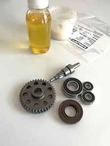 Piñón de armadura de engranaje excéntrico HILTI TE70 ATC AVR (03) TE80 ATC #2034533 2038164 - Imagen 1 de 10