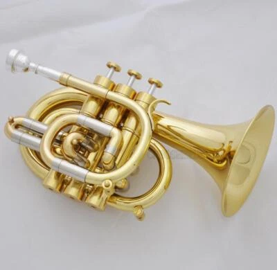 Brass Lacquered C Key Pocket Trumpet Horn Monel Valve New Case - Image 1 of 4
