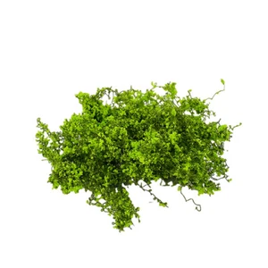2PC Shrubs Flower Clusters Vines HO/OO Scale Miniatures Landscape Plant Scenery - Picture 1 of 31