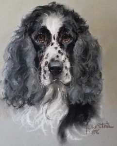 ENGLISH COCKER SPANIEL DOG ORIGINAL PASTEL ON BOARD by JULIE STOOKS 1988 - Picture 1 of 8