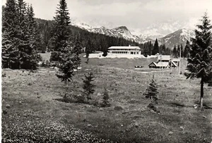 SL 081 -1957 POKLJUKA (Slovenia) Vila Jelka - travelled - Picture 1 of 1