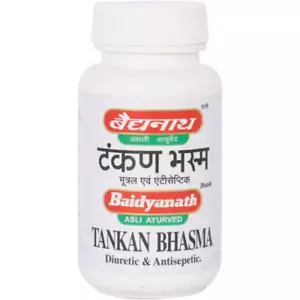 Baidyanath Tankan Bhasma (15g) Ayurvédico Útil en Respiratorio mejor artículo - Imagen 1 de 3