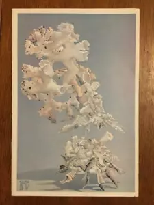 UNITED AIRLINES MENU Seashell Carrier Shell Helen de Werd Vintage Flight Menu - Picture 1 of 1
