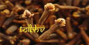100% Natural Pure Whole Clove / Laung Premium And Best Quality From India - Foto 1 di 2