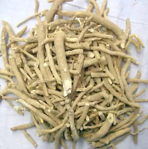 Ashwagandha Roots Withania Somnifera Indian Ginseng Raw & Whole Herbs - Picture 1 of 6