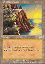 MTG magic cards 2x x2 NM-Mint, English Seaside Haven Onslaught