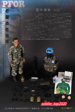 1:6 Chinese Peacekeepers Peace Mission Collectable Male Soldier Action Figure  