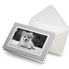 Greetings Card (Grey) BW - Fluffy Welsh Corgi Puppy Dog #38649