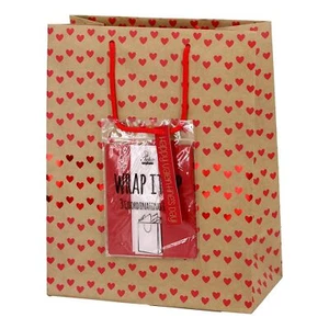 Valentines Day Large Gift Bag with Tag and Tissue Paper 13 x 10 x 5 Inch Little - Picture 1 of 5