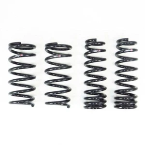 RS-R T591D Down Lowering Springs for 21-25 Lexus IS300 & IS350 RWD GSE31 - Bild 1 von 4