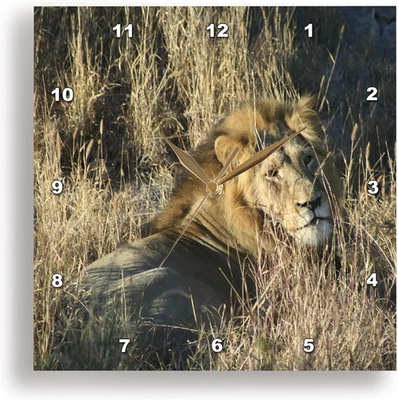 Reloj de pared DPP_26828_3 Rey León en la hierba, 15 por 15 pulgadas Foto 1 de 4
