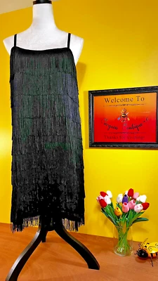 Музыка ноги костюмы, женщин 1 X-2 X, с подкладкой классический бахрома Flapper платье - Изображение 1 из 4