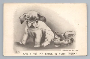 Pug Bulldog Boxer Olde English Bulldogge Sepia Early Century Vintage Postcard - Picture 1 of 2