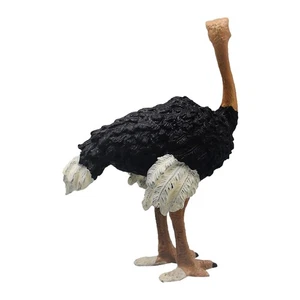 Realistic Ostrichs Figurines Educational Learning Toy Ostrichs Model Ornament - Picture 1 of 8
