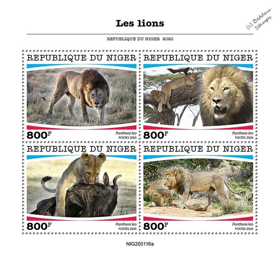 LEONES Grandes Gatos / Mamíferos / Animales Salvajes León MNH 4v-Hoja de Sello (2020 Níger) Foto 1 de 1