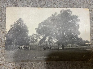 RARE 1909 US Green Ben Franklin 1c One Cent Postage Stamp Fordhook Post Card   - Picture 1 of 4