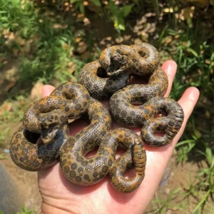 4" Natürlicher Quarzkristall Handgefertigt Geknitzt Dreidimensional Klapperschlange Schädel 1 Stck. - Bild 1 von 9