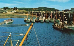 Vintage Famous Digby Scallop Fleet Pines Hotel Unposted Postcard - Picture 1 of 2