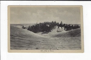 WWI? Fra le Dune Middle Eastern Men on Camels PRRC Italian Postcard p2356 - Picture 1 of 2
