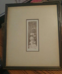 VTG Framed Art Piece Print? Queen Annes Lace 14x12 T Bryan? - Picture 1 of 7