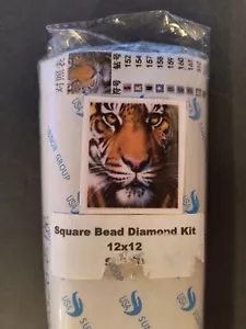 Kit de diamantes de cuentas cuadradas Uniquely Crafts 12x12 TIGRE - Imagen 1 de 4