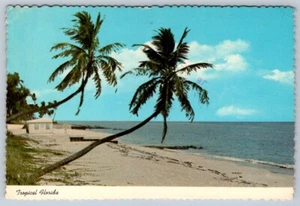Postal cromada de escena de playa tropical, palmeras susurrando a lo largo de la costa de Florida - Imagen 1 de 2